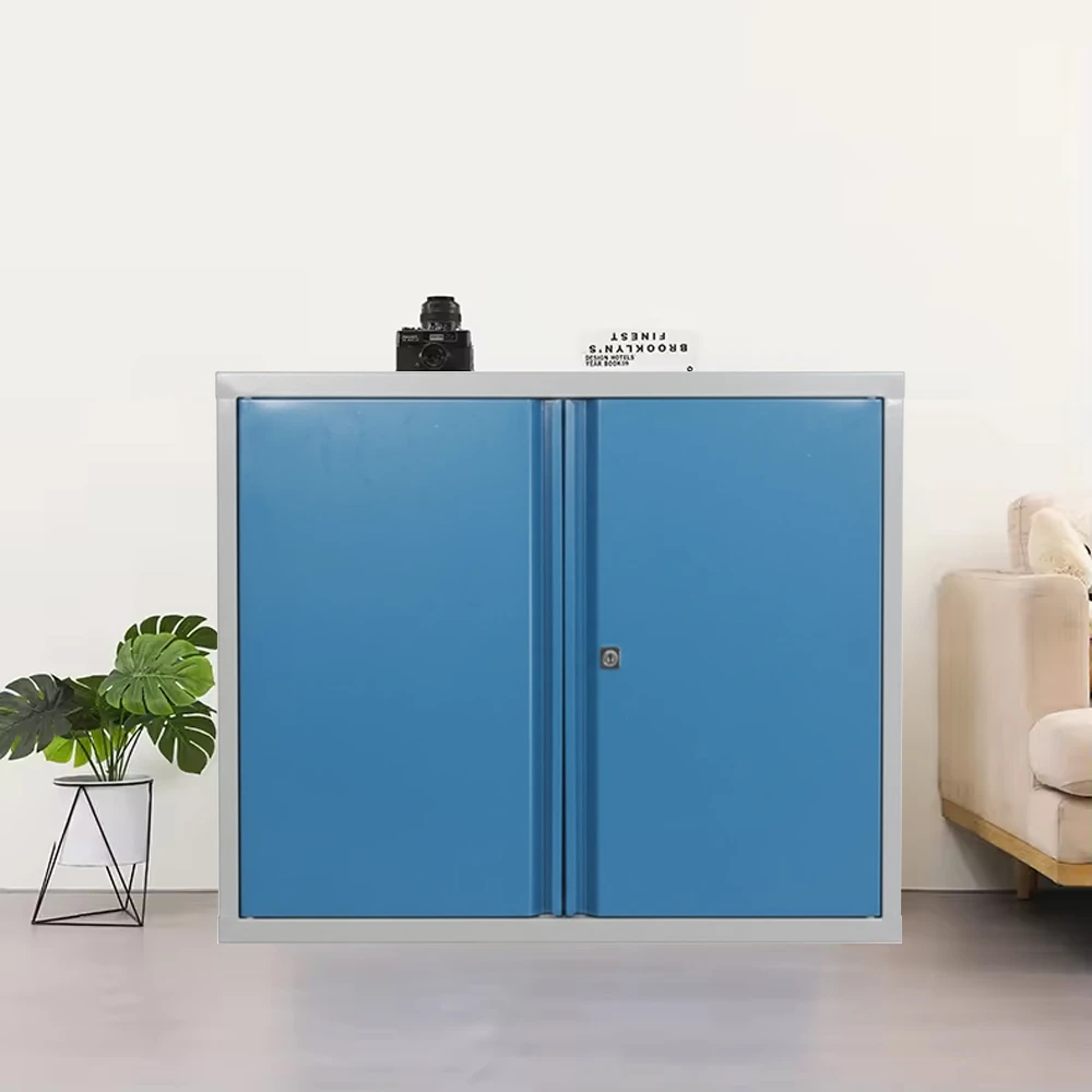 Wall-Mounted Low Profile Steel Cabinets Wall-Mounted Low Profile Steel Cabinets