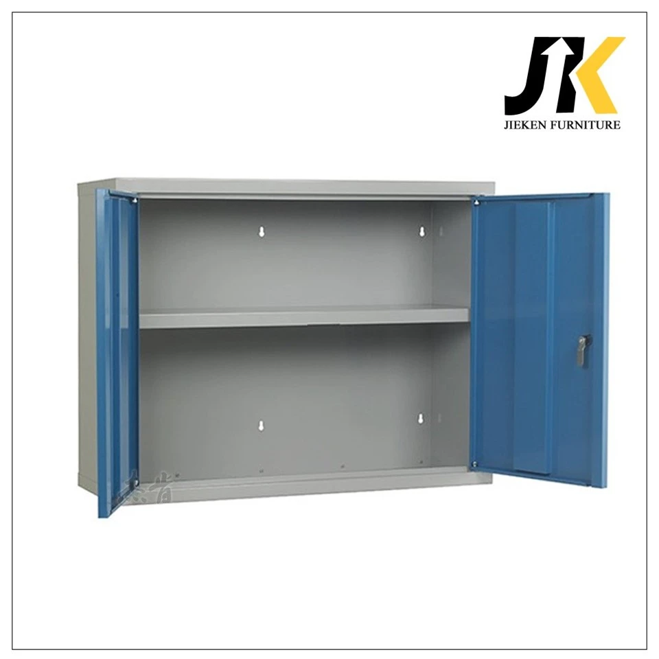 Wall-Mounted Low Profile 2 door Steel Cabinet